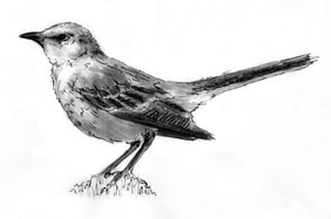 mockingbird symbolism boo radley